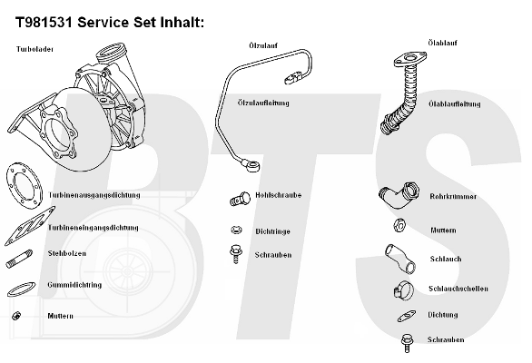 Compresor,sistem de supraalimentare T981531 BTS Turbo